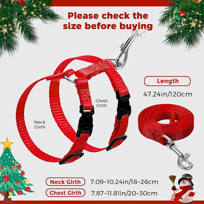 Outus 5 Pieces Adjustable Rabbit Harness and Leash Set Escape Proof Bunny Harness Vest for Pet Running Walk Jogging Bunny Cat Puppy Kitten Ferret and Other Small Pet(Vivid Color)