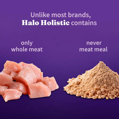 Halo Holistic Cage Free Chicken Cat Food, Healthy Grains Dry Cat Food, Complete Digestive Health, Kibble for Adult Cats, 10 lb Bag