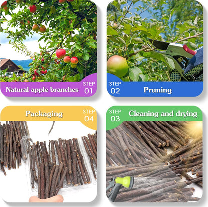 Apple Sticks,Premium Wooden Chew Stick Toys,250g Natural Apple Sticks for Guinea Pigs,Rabbits,Hamsters,Gerbils,Chinchillas and Small Rodents