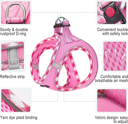 haapaw Dog Harness with Leash Set, No Pull Adjustable Reflective Step-in Puppy Harness with Thickened Padded Vest for Extra-Small/Small Medium Dogs