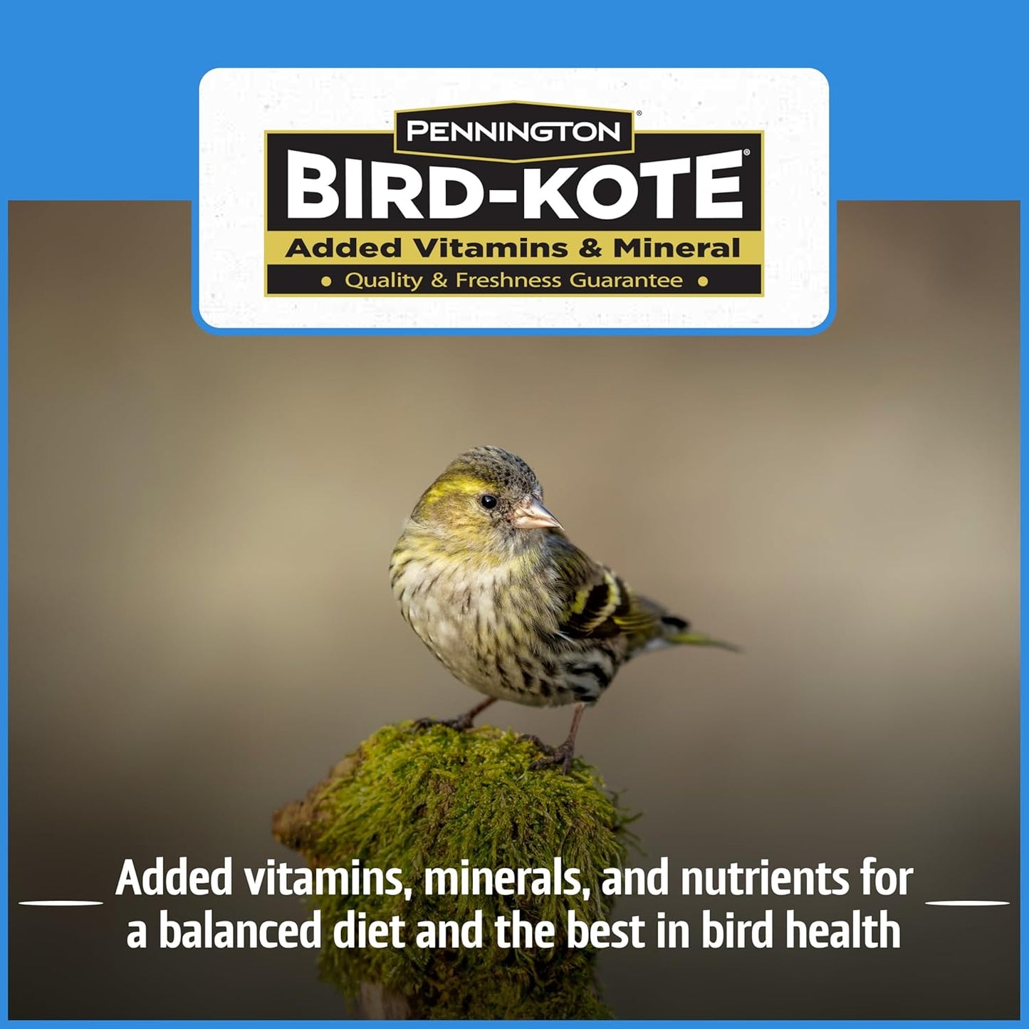 Pennington Select Chips & Bits Wild Bird Seed for Outside Feeders, High-Protein, No-Hull & No-Waste, Sunflower Chips & Peanut Bits Attract Songbirds,15-lb. Bag