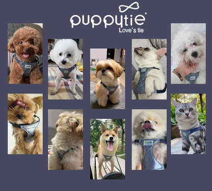 Puppytie No Pull Dog Harness with Multifunction Dog Leash,Soft Adjustable No Choke Escape Proof Pet Harness Vest for Medium Dogs,Glossy Galaxy Blue,M