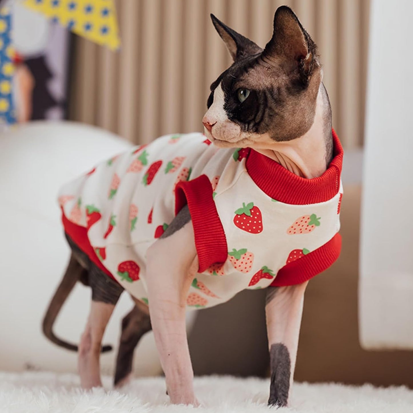 PUMYPOREITY Sphynx Cat Clothes: Stretchy Sweater, Soft Shirt, Pullover Pajamas, Turtleneck for Sphynx, Cornish Rex, Devon Rex Cats - Red, XL