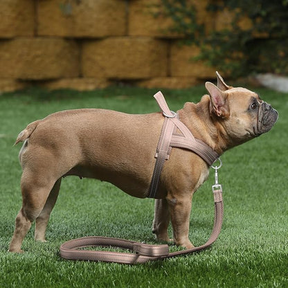 Plutus Pet No Pull Dog Harness with Breathable Mesh Padded, Adjustable Reflective Escape Proof Dog Harness, Quick Fit Dog Vest Harness for Small Medium Large Dogs(S, Beige)