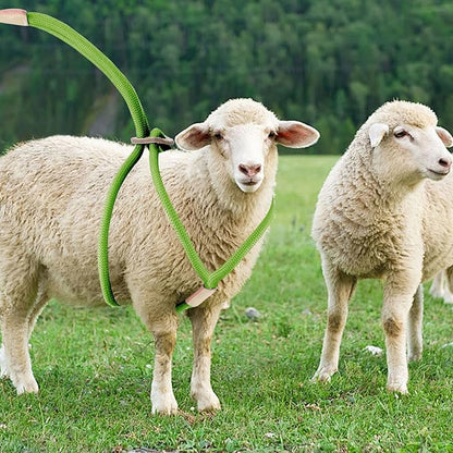 Goat Harness for Walking, Goat Supplies Accessories Washable Leash, Livestock Supplies for Sheeps