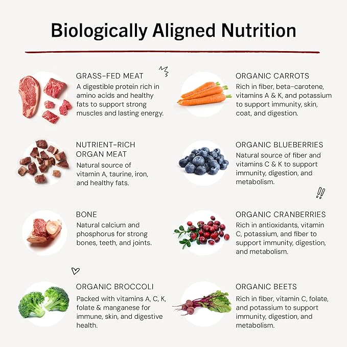 Stella & Chewy's Freeze-Dried Raw Dinner Patties - Remarkable Red Meat Blend - High Protein Grain-Free Puppy & Dog Food - Perfect For Picky Eaters - 5.5 oz