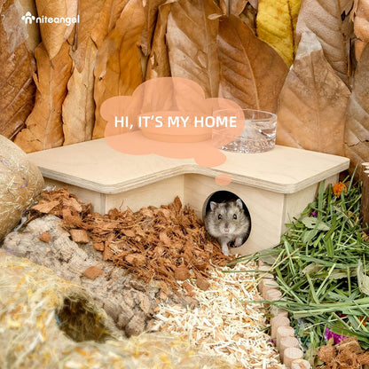 Niteangel Multi-Chamber Hamster House Maze: - Multi-Room Hideouts & Tunnel Exploring Toys for Hamster Gerbils Mice Lemmings (3-Room Small)