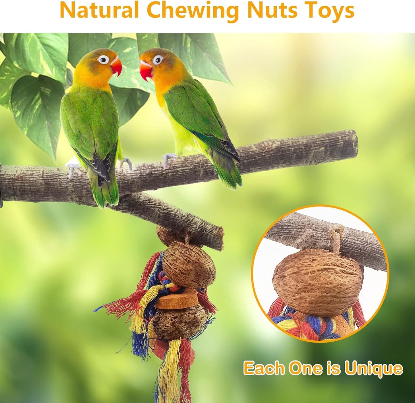 kathson Natural Bird Perches for Cage,Wooden Parrot Stand Branch with Chewing Nuts Toys Exercising Standing Parakeet Cage Accessories for Conures Budgies Finches Cockatiels Lovebird (2 PCS)