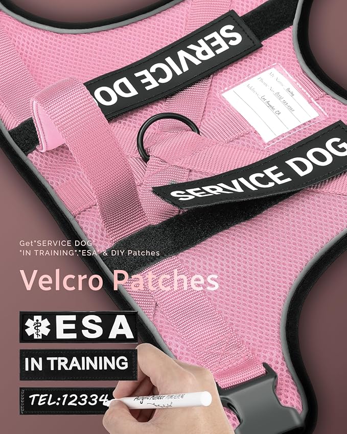 FAYOGOO Service Dog Vest for Large Dogs - Air Mesh Breathble Emotional Support Animal Vest with DIY Removable Patches - Dog Harness and Leash Set Adjustable Neck and Chest(Pink,XXL)