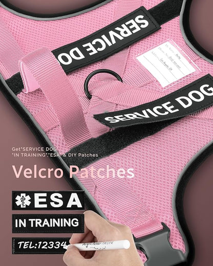 FAYOGOO Service Dog Vest for Large Dogs - Air Mesh Breathble Emotional Support Animal Vest with DIY Removable Patches - Dog Harness and Leash Set Adjustable Neck and Chest(Pink,XXL)