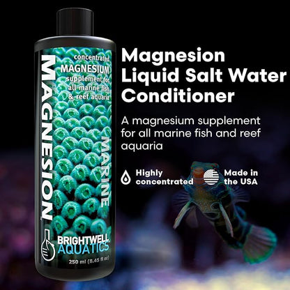 Brightwell Aquatics Magnesion Liquid Salt Water Conditioner - Concentrated Magnesium Supplement For Reef and Marine Aquariums, 8.45 fl oz