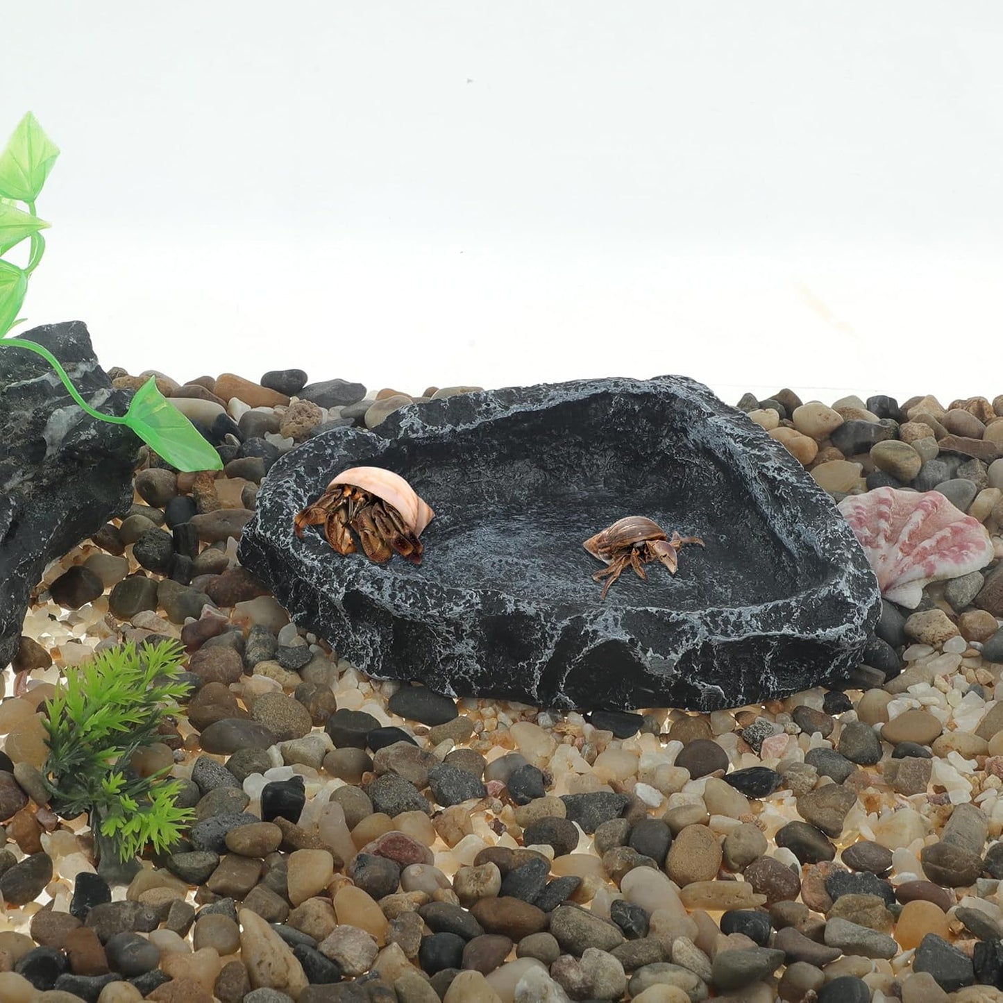 Reptile Food Dish, Resin Lizard Reptile Food Dish, Turtle Water Bowl, Terrarium Feeding Bowl Accessory for Lizard Tortoise Snakes Gecko, Black, 4.72"x3.74"x0.98"