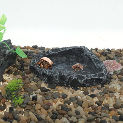 Reptile Food Dish, Resin Lizard Reptile Food Dish, Turtle Water Bowl, Terrarium Feeding Bowl Accessory for Lizard Tortoise Snakes Gecko, Black, 4.72"x3.74"x0.98"