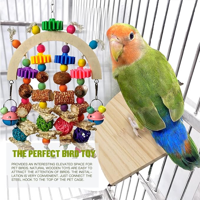 Bird Toys - Natural Corncob Wooden Mango Solid Chew Toys for Small & Medium Parrots, African Greys, Cockatiels, Lovebirds