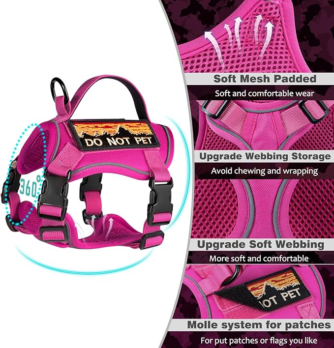 Tactical Cat Harness for Walking, Adjustable Escape Proof Pet Vest for Large Cat,Easy Control Breathable Cat Vest with Handle，Molle Patches (Pink+Leash, L)