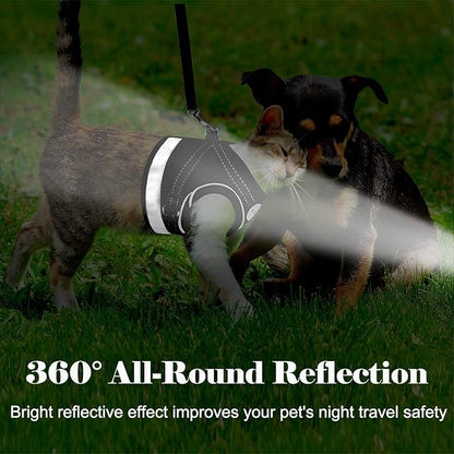 Cat Harness and Leash for Walking, Kitten Escape Proof Harnesses, Adjustable Reflective Puppy Harness with Leashes Set, Easy Adjustable Soft net Breathable Pet Safety Vest Black