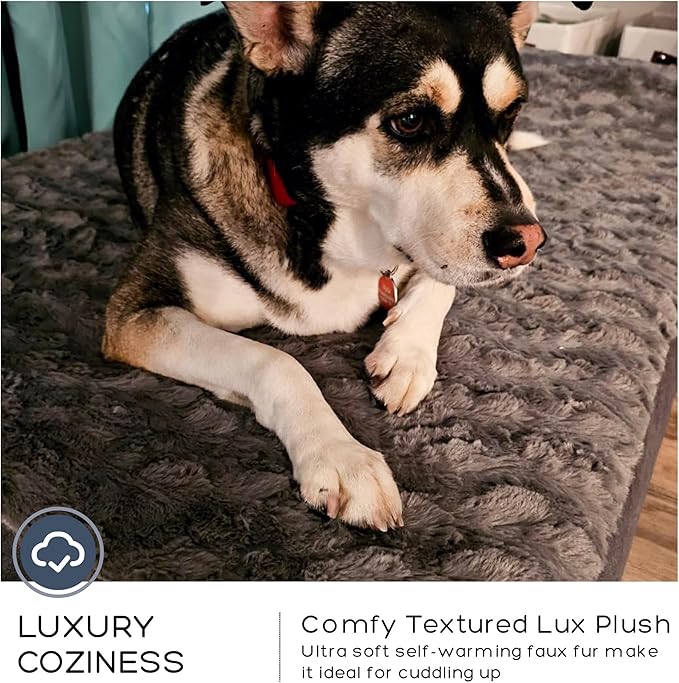 Jumbo Orthopedic Dog Bed for Large Dogs - 7-inch Thick Memory Foam Dog Bed with Pillow Removable Cover Machine Washable (Dark Gray | Textured Plush), 50''L x 34''W x 10''Th I Extra Large