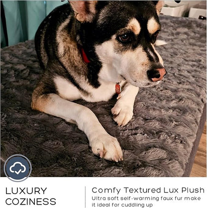 Jumbo Orthopedic Dog Bed for Large Dogs - 7-inch Thick Memory Foam Dog Bed with Pillow Removable Cover Machine Washable (Dark Gray | Textured Plush), 50''L x 34''W x 10''Th I Extra Large