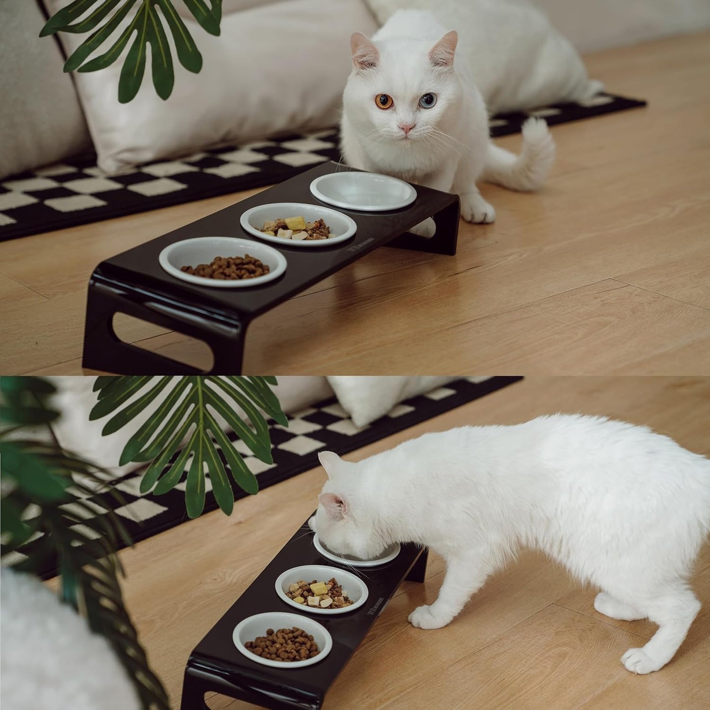 Tilted Raised Elevated Food and Water Bowls Stand for Cat or Small Dogs - Puppy's Clear Acrylic Stainless Steel 3 Dishes Holder for Boy or Girl Pet by WBhonghui (Black-3bowls)