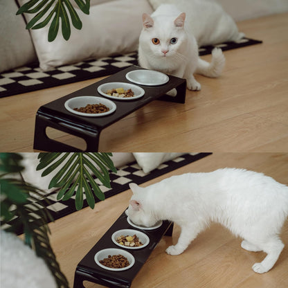 Tilted Raised Elevated Food and Water Bowls Stand for Cat or Small Dogs - Puppy's Clear Acrylic Stainless Steel 3 Dishes Holder for Boy or Girl Pet by WBhonghui (Black-3bowls)
