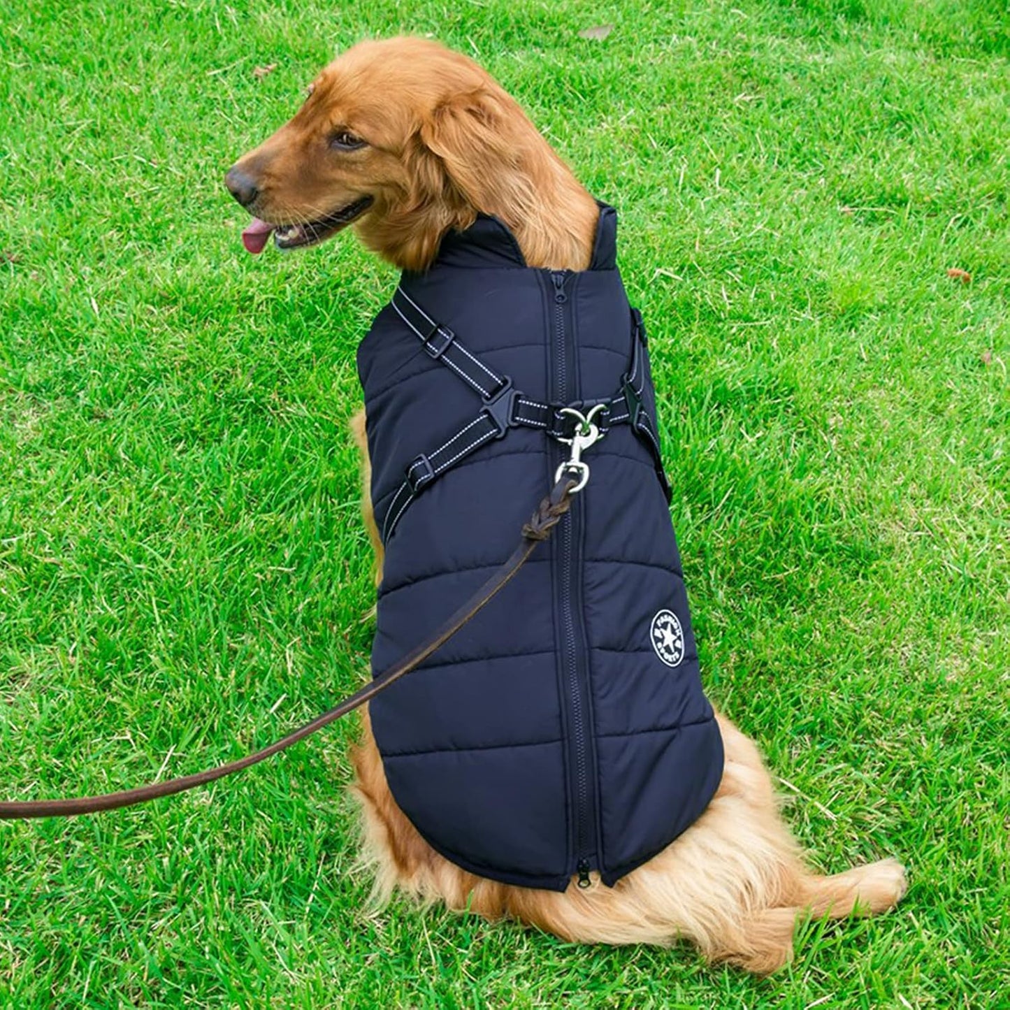 Aiboria Dog Jackets for Winter Windproof Waterproof 2 in 1 Outfit Cold Weather Coat Dog Vest Harness Puppy Winter Warm Jacket Small Blue M