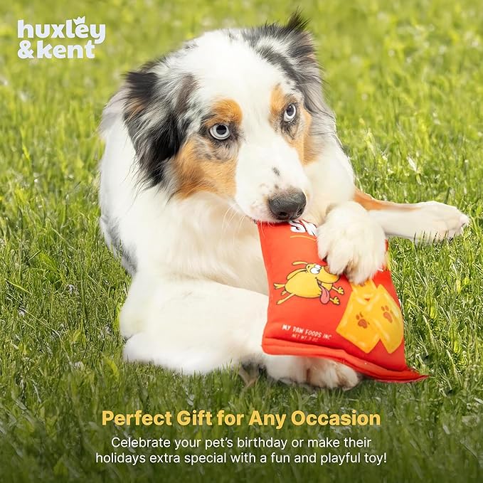 Huxley & Kent Funny Dog Toy w/Squeaker – Power Plush Squeaky Dog Toys for Small, Medium & Large Dogs – Soft Stuffed Animal for Indoor Play & Fetch - Sneez-It, Small