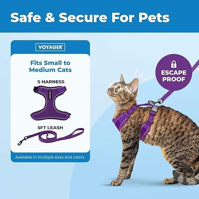 Voyager Escape Proof Cat Harness and Leash Set with Reflective Stitching, Neoprene Handle 5ft - Supports Small, Medium and Large Cats, Kittens for Walking by Best Pet Supplies - Purple, S