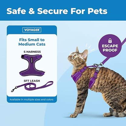 Best Pet Supplies Voyager Escape Proof Cat Harness and Leash Set with Reflective Stitching, Neoprene Handle 5ft - Supports Small, Medium and Large Cats, Kittens - Purple, M (Chest: 16.5-19.5")