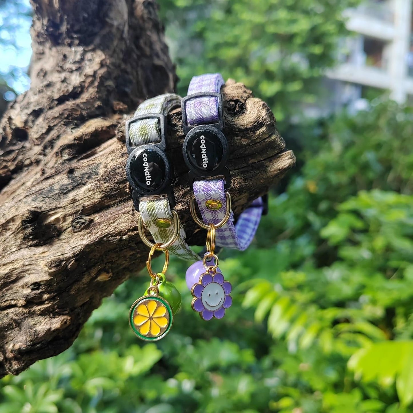 2 Pack Cotton Breakaway cat Collars with Bell,Safety Quick Release Pendant Cute Kitten Collar,Adjustable 20-30cm (Purple+Grass Green, 20-30cm)