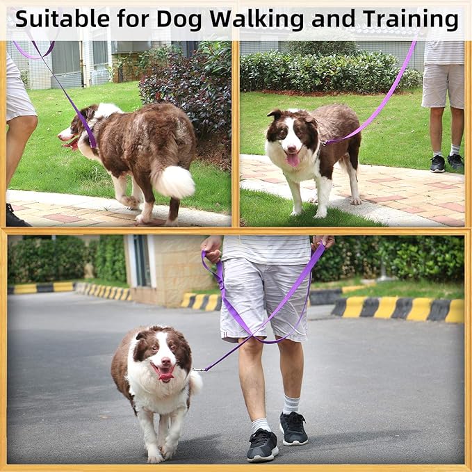 AMAGOOD 6 FT Puppy/ Dog Leash, Strong and Durable Traditional Style Leash with Easy to Use Collar Hook, Great for Small, Medium and Large Dogs (1 in x 6 ft(Pack of 1), Purple)