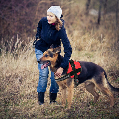 Dogline Dog Harness, Reflective No-Pull Adjustable Vest with Handle for Walking, Training, Service Breathable No - Choke Harness for Small, Medium or Large Dogs Room for Patches Girth 33"-46" in Red