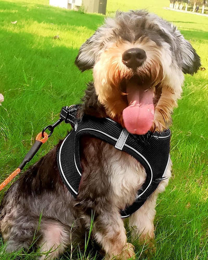 Joytale Small Dog Harness, Breathable Mesh Step-in Vest, Reflective Soft Padded Harnesses for Small and Medium Dogs, Black, L