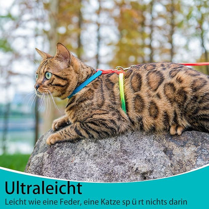 PUPTECK Adjustable Cat Harness and Leash Set Escape Proof Kitten Strap Collar for Walking Travel, Multicolor