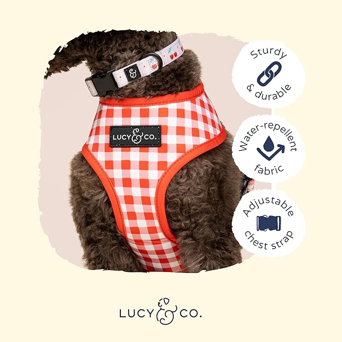 Lucy & Co. Cheery Cherries, Cute Reversible Dog Harness Walking Halter - Best Designer Pet Harnesses for XS - XL Dogs - Padded Adjustable Vest for Easy Walking (X-Small)