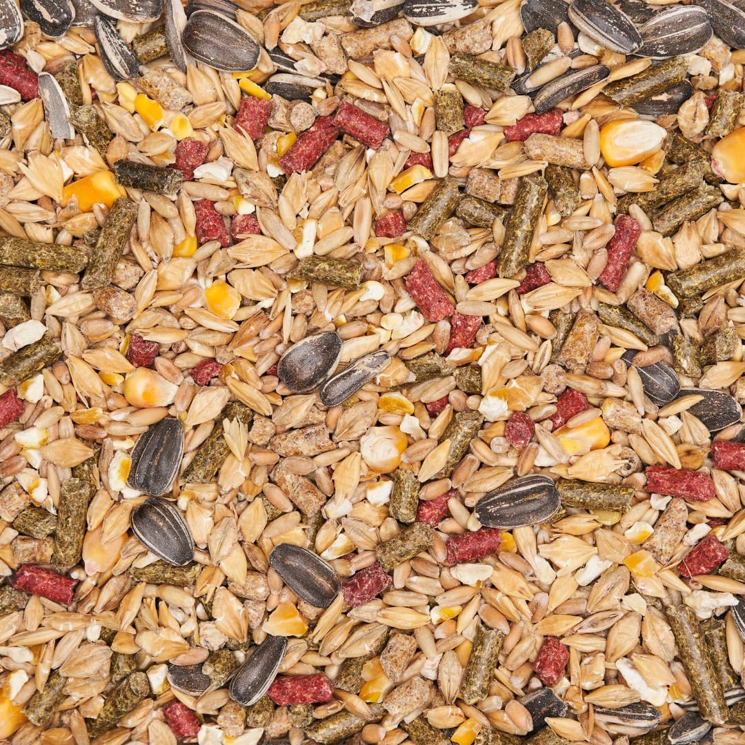 Mycelium Rat Feed 5 lb Bag | Organic Rat Food for Healthy Skin, Coat & Dental Health | High-Protein Balanced Nutrition with Vitamins and Minerals | Non-GMO & USA Made