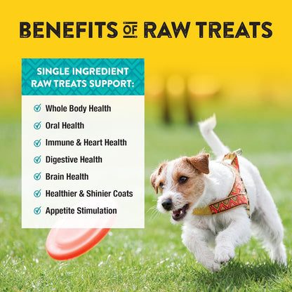 Northwest Naturals Raw Rewards Freeze-Dried Chicken Breast Treats for Dogs and Cats - Bite-Sized Pieces - Healthy, 1 Ingredient, Human Grade Pet Food, Natural, Proudly Made in USA, 10 Oz (Pack of 3)