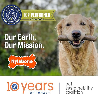 Nylabone Power Chew Classic Bone Chew Toy for Dogs, Durable Dog Toys for Aggressive Chewers, Chicken Flavor, X-Small/Petite - Up to 15 lbs. (1 Count)