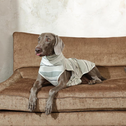 ROZKITCH Turtleneck Dog Shirt with Leash Hole, Soft Pet Sweatshirt Stretchy Striped Pullover Shirt for Large Dogs, All-Day Comfort Sweaters ShallowCoffee 2XL