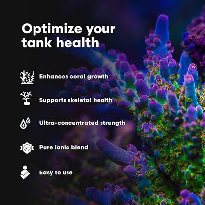 Brightwell Aquatics Strontion High-Strength Ionic Strontium Supplement for Reef Aquariums Supports Coral Skeletal Growth Aragonite Formation SPS LPS, 2L