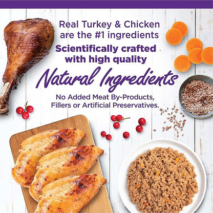 Wellness Complete Health Chicken & Turkey Pate Favorites Variety Pack, 5.5 Ounces Can (Pack of 12)