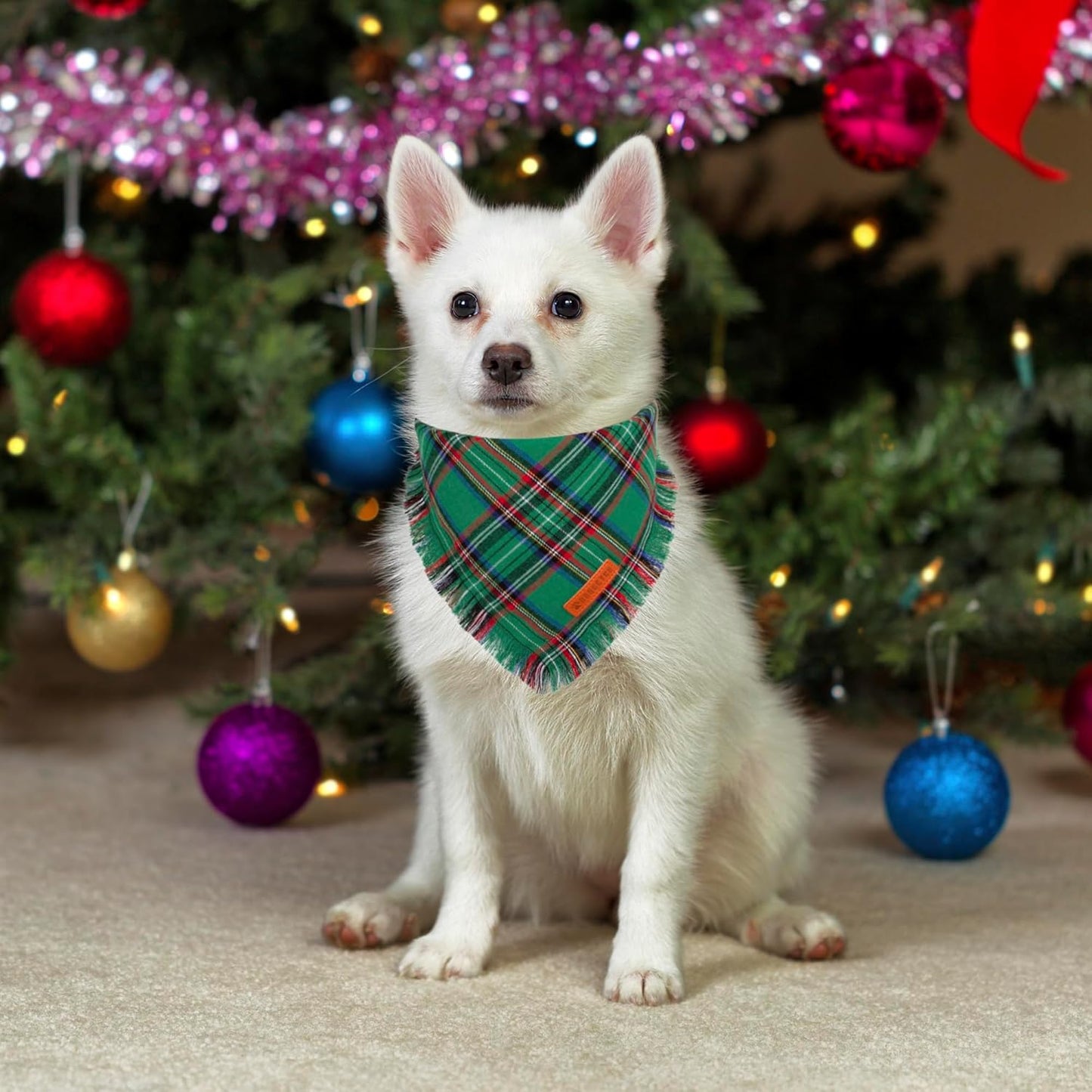 ADOGGYGO Christmas Dog Bandanas with Tassels, Stylish Plaid Dog Scarf Bib, Premium Cotton Fabric, Red Green Christmas Bandanas for Small Dogs Puppies (Small)