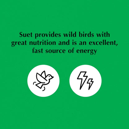 C&S Bluebird Nuggets