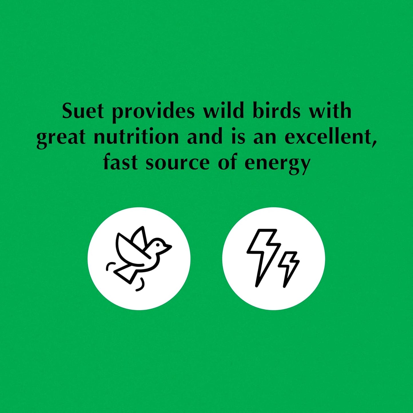 C&S Hot Pepper Suet Nuggets 27 Ounces