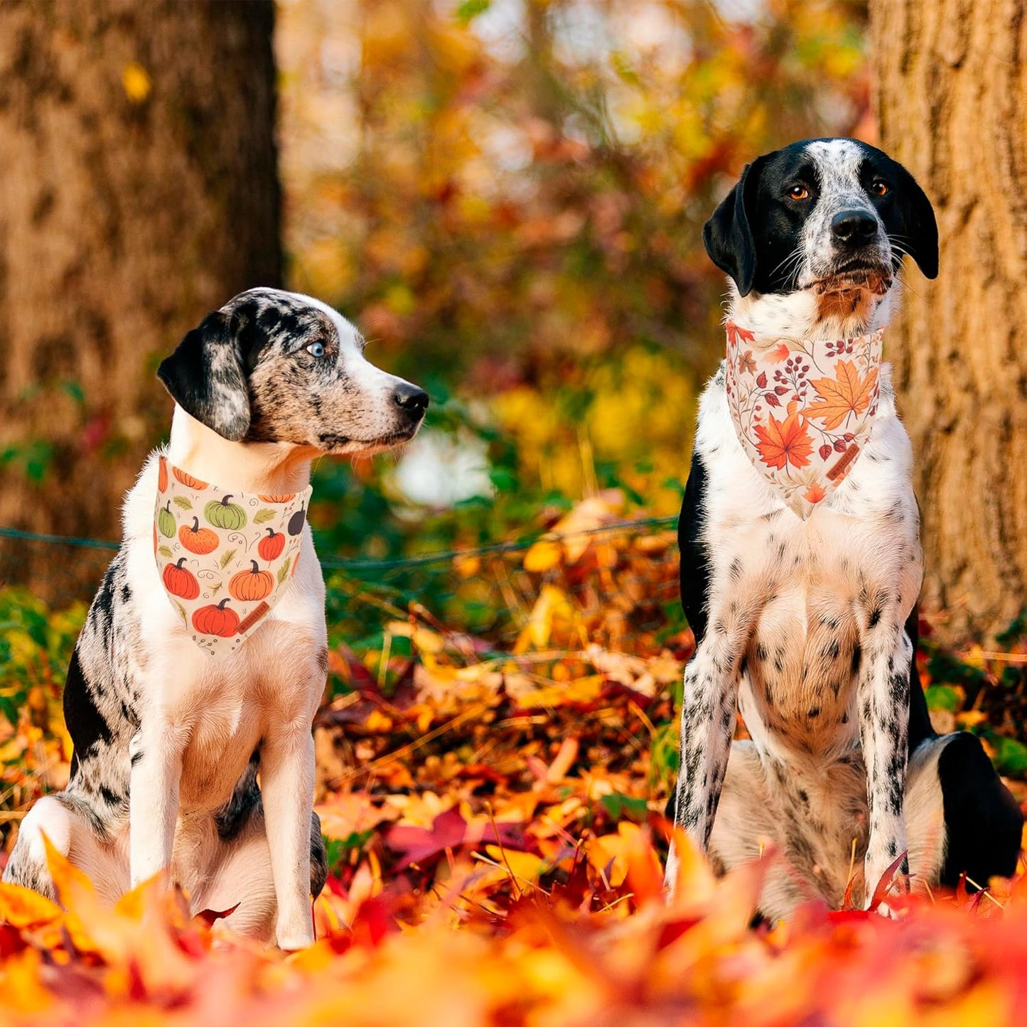 ADOGGYGO Fall Dog Bandana, Pumpkin Maple Leaf Autumn Thanksgiving Pet Scarf, Adjustable Fit Fall Bandanas for Medium Large Dogs Pets (Large)