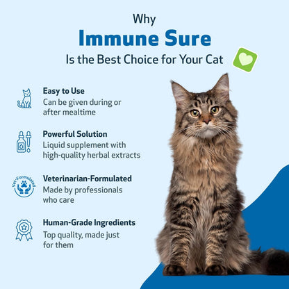 Pet Wellbeing Immune Sure for Cats - Supports Normal Immune Defenses, Gut Flora Balance, Andrographis, Echinacea, Vitamin C, Zinc - Veterinarian-Formulated Herbal Supplement 4 oz (118 ml)