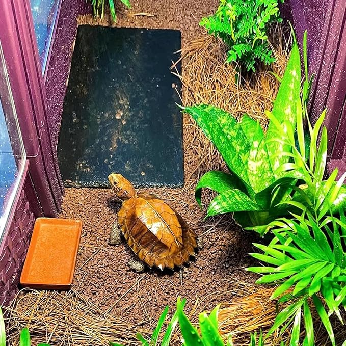 Reptile Basking Platform Tortoise Rock Plate 9.8’’x4.7’’ Feeding Food Bowl Slate Dish Turtle Bathing Resting Terrace for Lizard Bearded Dragon Chameleon Gecko Snake Frog Newt
