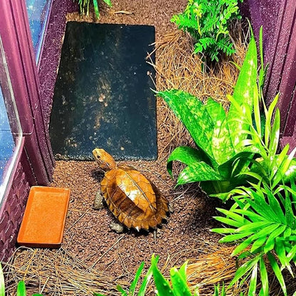 Reptile Basking Platform Tortoise Rock Plate 9.8’’x4.7’’ Feeding Food Bowl Slate Dish Turtle Bathing Resting Terrace for Lizard Bearded Dragon Chameleon Gecko Snake Frog Newt