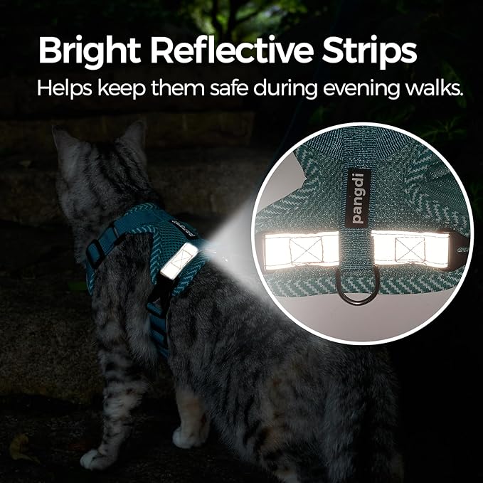 Cat Harness and Leash Escape Proof Extra Large Kitten Harness Maine Coon Cat Vest for Walking Travel, Turquoise, XXL