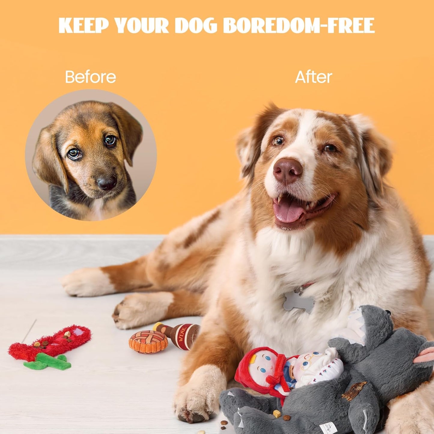 Nocciola Fairy Tale Squeaky Dog Toys, Cute Interactive Plush Stuffed Hide and Seek Cognitive Puzzle Puppy Crinkle Chew Toy for Small, Medium Breed