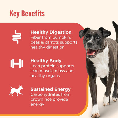Nutrish Gentle Digestion Premium Paté and Chunks in Gravy Variety Pack Wet Dog Food, 13 oz. Can, 12 Count (Rachael Ray)